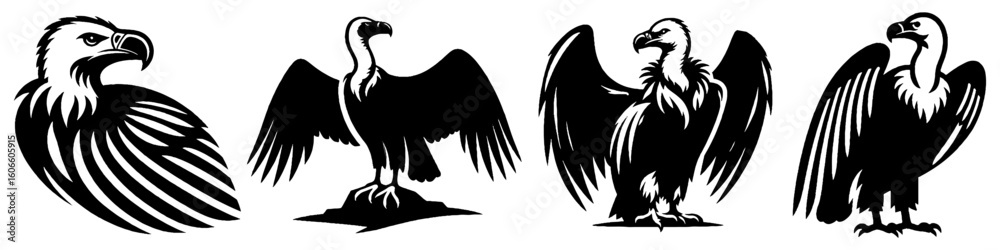 Fototapeta premium Simple Vulture Collection Illustration, Scavenger Bird Modern Set Vector for Icon and Wildlife Themes Design
