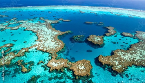 Fototapeta Naklejka Na Ścianę i Meble -  Aerial view of vibrant coral reefs (1)