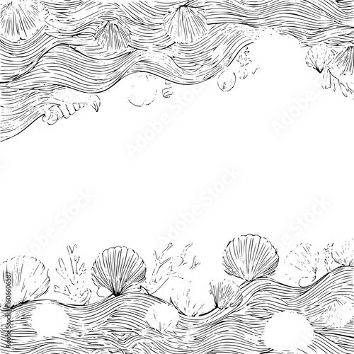 Illustration of seashells and coral on wavy lines forming a border on the top and bottom of the image
