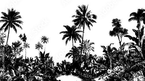 A black and white illustration of a tropical landscape with palm trees and dense vegetation in silhouette