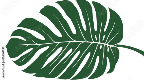 A digital illustration depicting a single Monstera deliciosa leaf. The leaf is rendered in a solid, dark green color, with distinct veining and characteristic fenestrations clearly visible. 