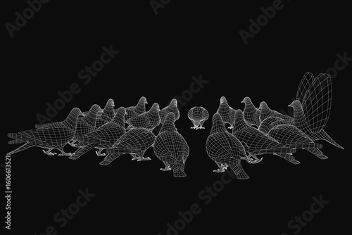 A 3D wireframe model of pigeons arranged in a descending line on a black background. Each bird slightly overlaps the one below, showcasing detailed feathers and beaks.