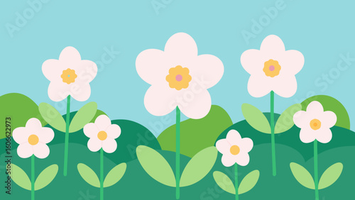Admire a beautiful field of primroses their delicate flowers a true sign of spring