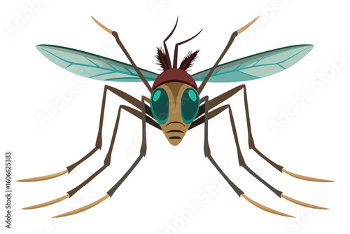 Cartoon Mosquito Illustration A Detailed Look at a Winged Insect with Piercing Mouthparts and Long Legs