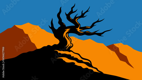 Ancient Gnarled Bristlecone Pine Tree Clinging Rocky Mountain Life