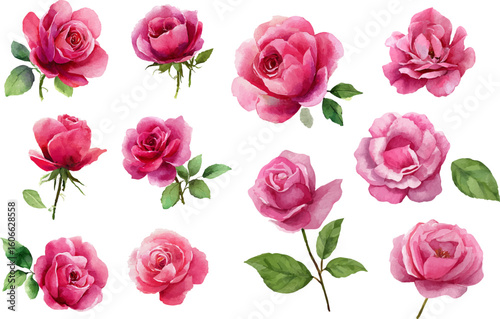 seamless pattern with pink roses