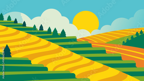 Explore a sun drenched terraced hillside covered in beautiful vineyards