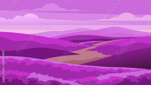 Admire a vast unbroken expanse of flowering heather moorland