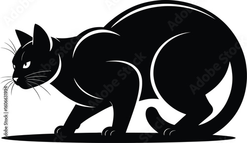 Black cat crouching low feline alert