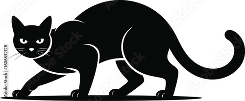 Black cat stalking low animal feline