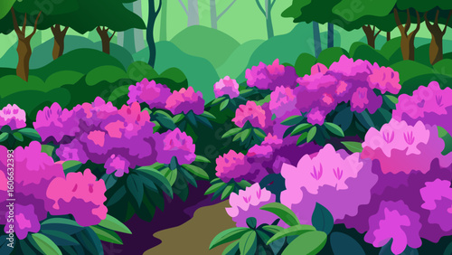 Explore a Dense Thicket of Rhododendron Bushes in Full Bloom