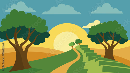 Wander Through a Peaceful Sun Dappled Grove of Ancient Olive Trees