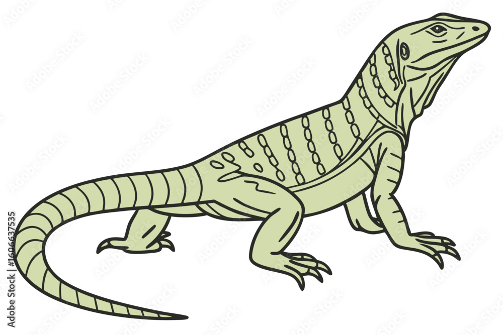 Obraz premium Cartoon Monitor Lizard Illustration Standing Tall with Detailed Markings and a Smooth Gradient of Pale Green Coloring Over a White Background