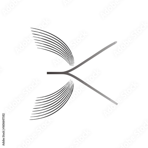Abstract Butterfly Wing or Bird in Flight Technology Speed Logo Vector