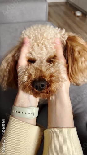 Vertical screen: gentle owner caressing soft puppy head, radiating deep connection and tender love through intimate slow motion interaction in warm domestic setting. Loving owner gently stroking puppy