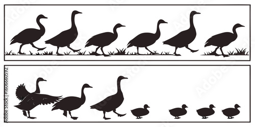 Silhouette of geese and goslings walking in a line on grass