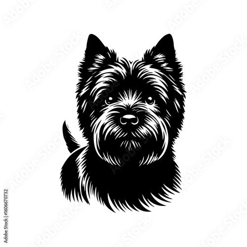 A charming portrait of a terrier dog isolated on white background