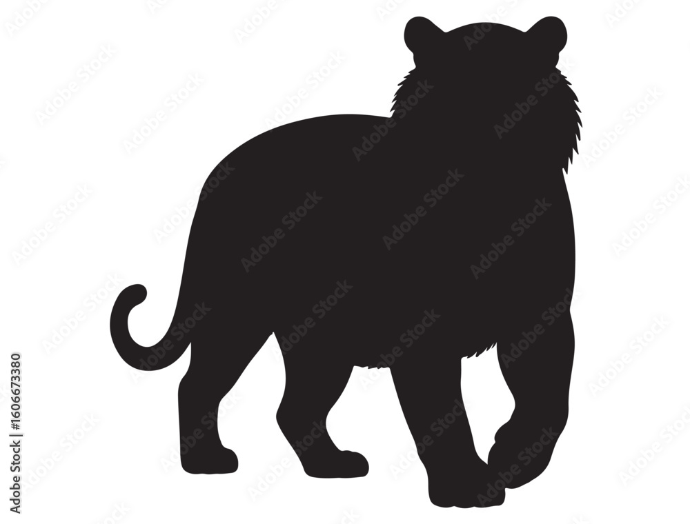 Fototapeta premium TIGER SILHOUETTE