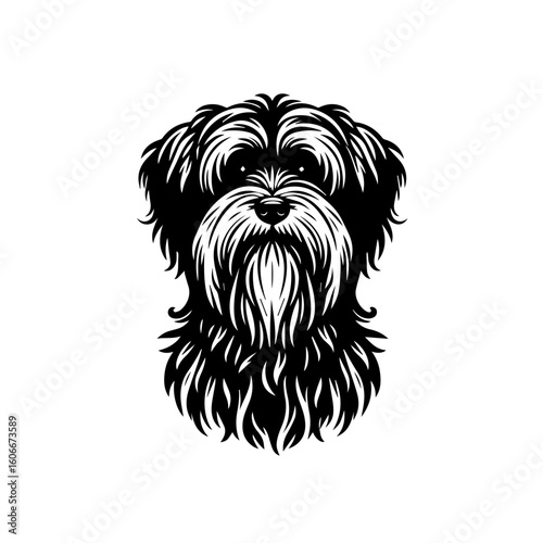 A cute schnauzer dog portrait, isolated on white background