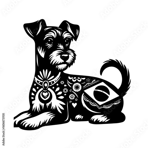 A black and white schnauzer dog isolated on white background