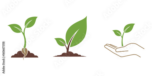 Plant Growth Stages Green Seedlings in Soil and Hand Vector Illustration