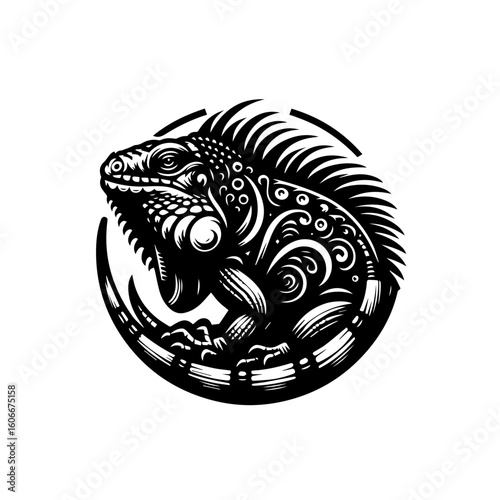 A detailed iguana is isolated on white background