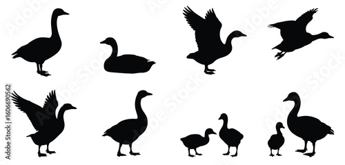 Diverse silhouettes of geese in various poses and actions