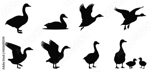 Diverse silhouettes of geese in various poses and actions