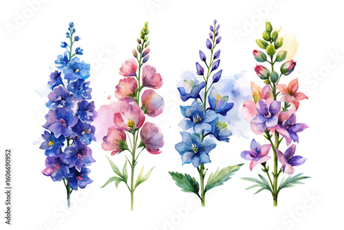 set of watercolor Delphinium Branch vector illustration isolated on white background