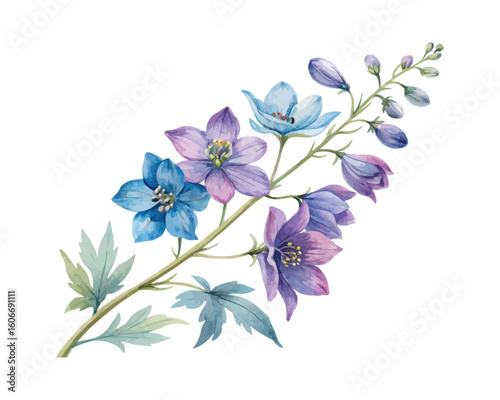 watercolor Delphinium Branch vector illustration isolated on white background