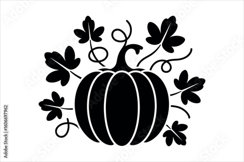 Black pumpkin with leaves and vines squash gourd