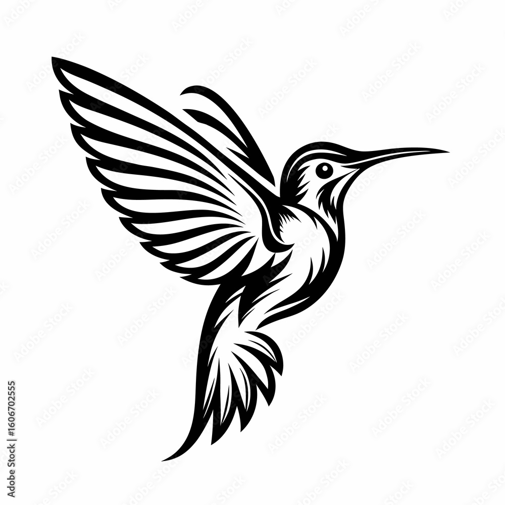 Fototapeta premium black and white bird