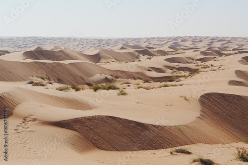 Fototapeta Naklejka Na Ścianę i Meble -  Wahiba Sands Desert, Oman