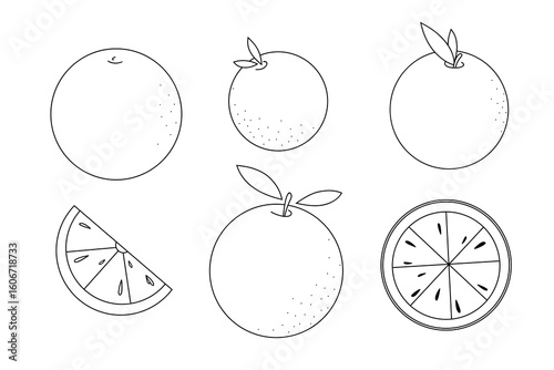 A set of different shapes of Oranges, isolated, vector illustration, contour drawing. Citrus juicy sweet, fresh fruit. Decorative black and white sketch element for decoration, poster, label