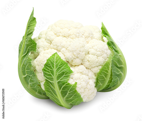 cauliflower isolated on white background. head of cauliflower. clipping path