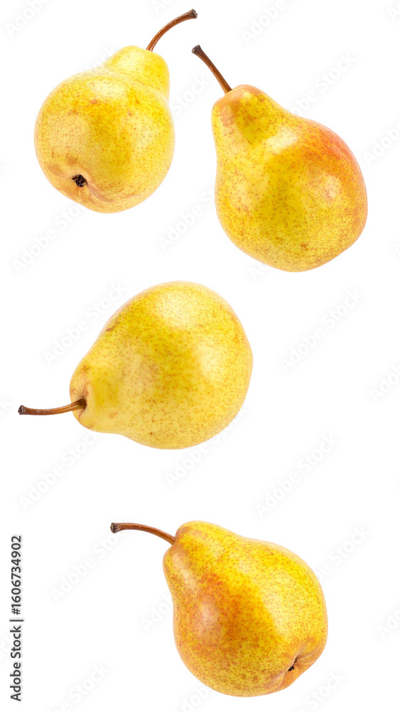 Four whole ripe yellow pears falling on transparent background, ready to be used in any project Four whole ripe yellow pears falling on transparent background, ready to be used in any project