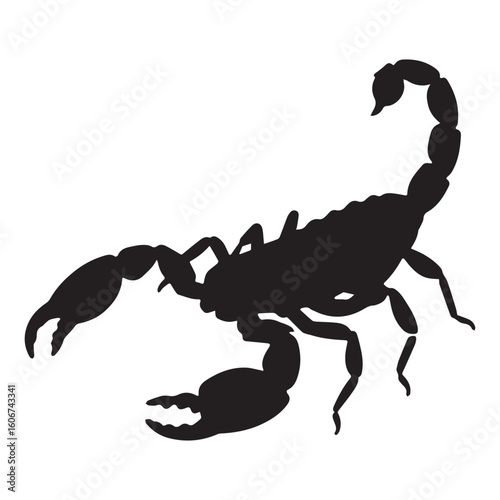 A scorpion that has the word scorpion on it Silhouette White Background.