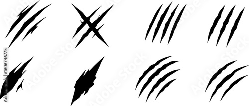 Aggressive claw scratch marks representing wild animal attack or damage