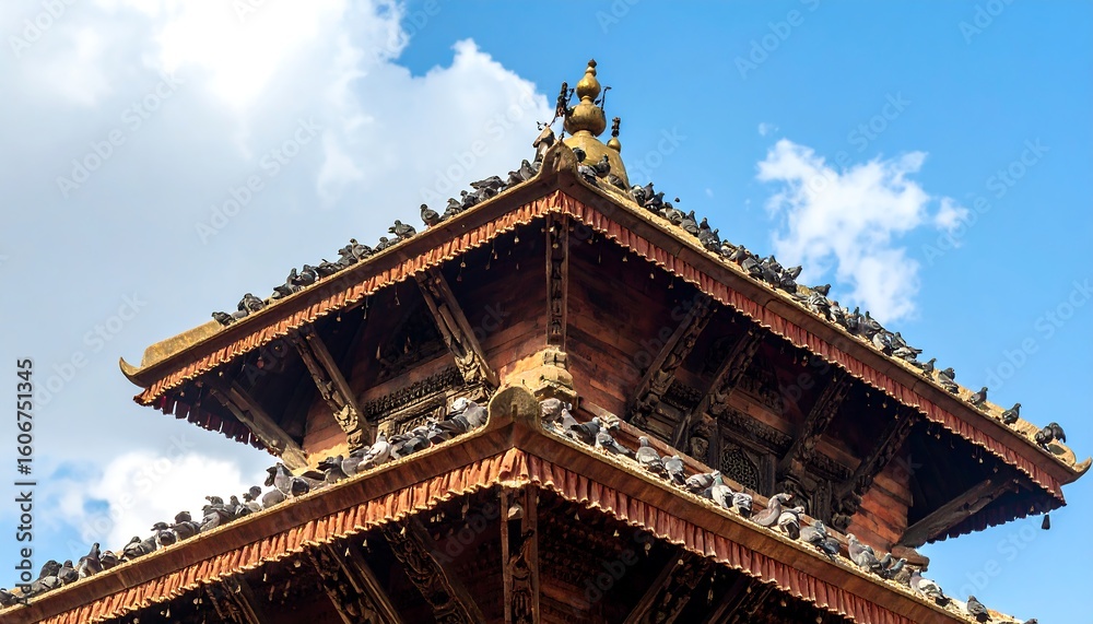 Naklejka premium Ancient temple roof teeming with birds