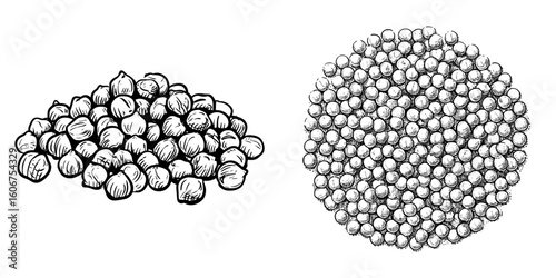 Isolated black and white graphic sketch of chickpeas in a modern illustration style