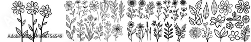 A collection of hand-drawn elements featuring florals and leaves, suitable for designing invitations, greeting cards, quotes, blogs, and posters, characterized by a modern illustration style