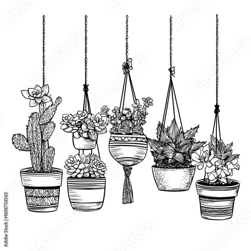 The illustration is a modern hand drawn outline black and white sketch of houseplants, cactuses and succulents in hanging flowerpots and pots isolated on white background