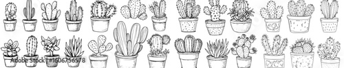Modern hand drawn outline black and white sketch illustration of houseplants, cactuses and succulents in flowerpots isolated on white background
