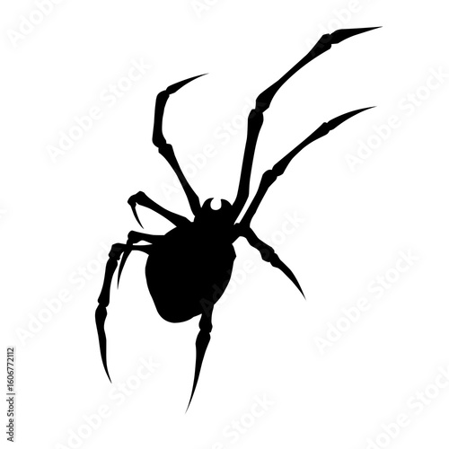 Spider silhouette vector illustration