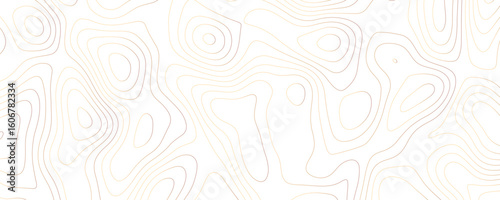Topographic Contour Lines Pattern topographic map elevation