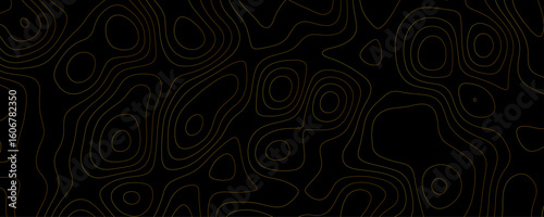Black background with flowing gold contour lines abstract