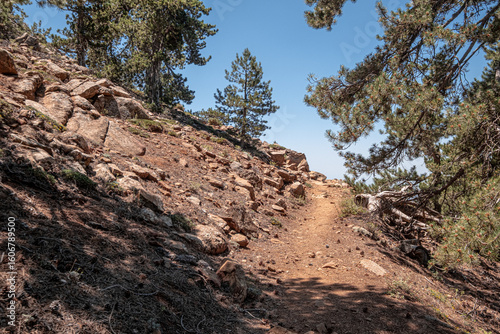 Atalante Trail, a 14 km circular (starts and ends at Troodos Square), almost level, moderately challenging trail around Mount Olympus in the Troodos Mountains, near Pano Platres, Limassol, Cyprus