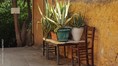 Wallpaper Mural Street corner in Anafiotika, Athens, Greece. A rustic table with potted succulent plants, an old chair, and a warm yellow wall in the background. Sunny Mediterranean atmosphere. No people. Torontodigital.ca
