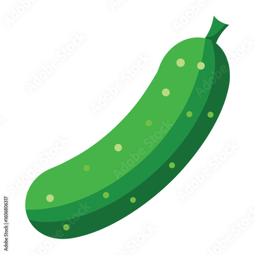 illustration of cucumber