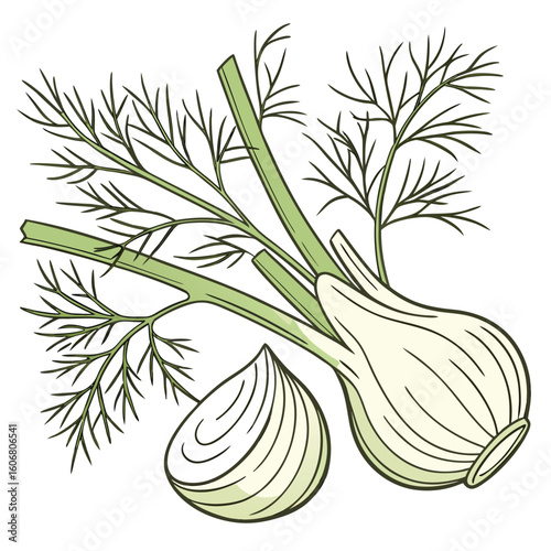 onion and parsley